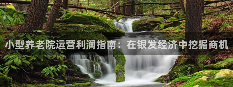 韦德网站官网