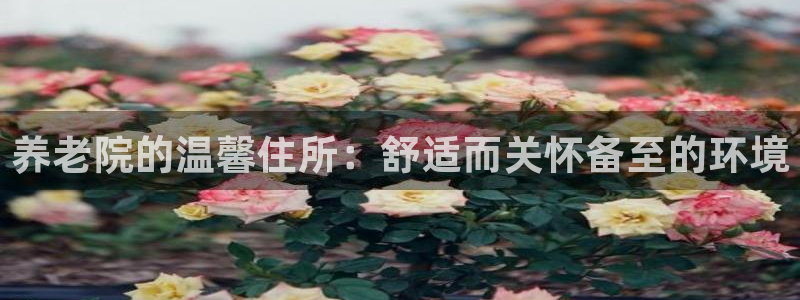 韦德1946中文官网