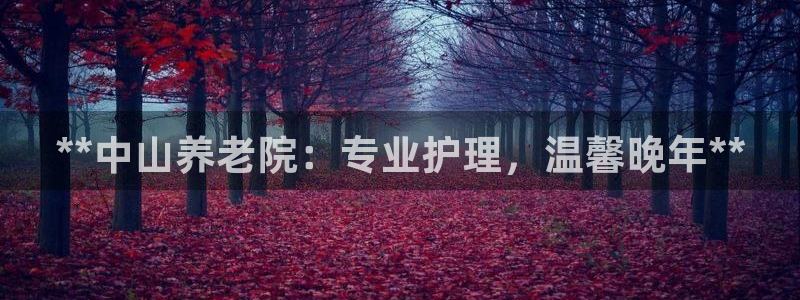 韦德全系列