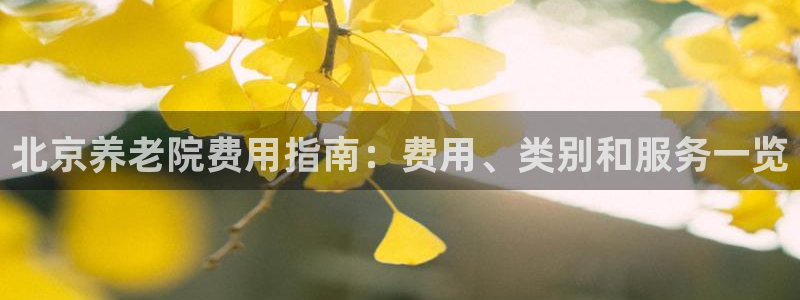 韦德bietview官网