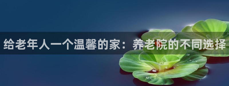 韦德1946手机