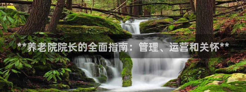 韦德是哪一届