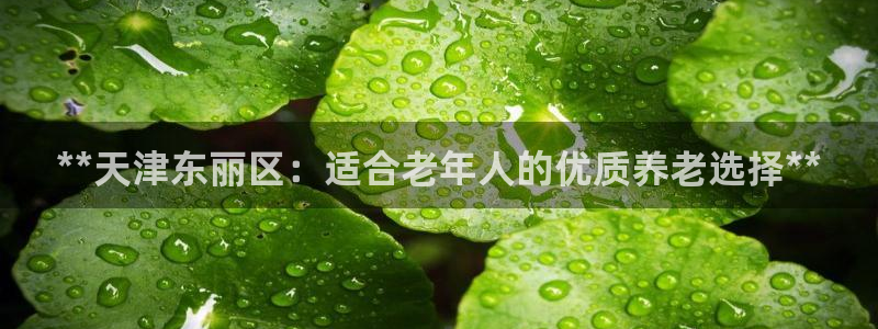 韦德1946bv1946