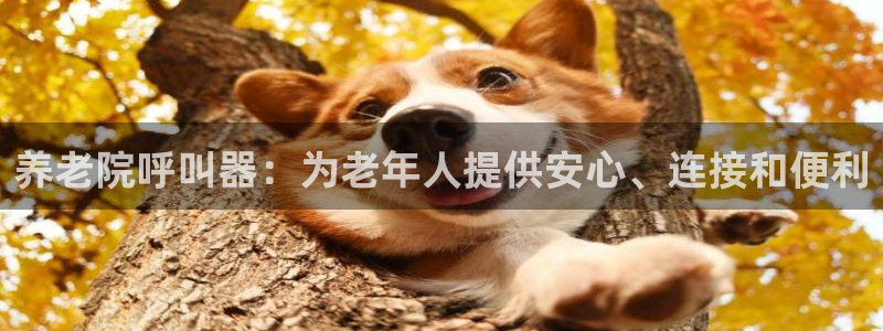 韦德的游戏