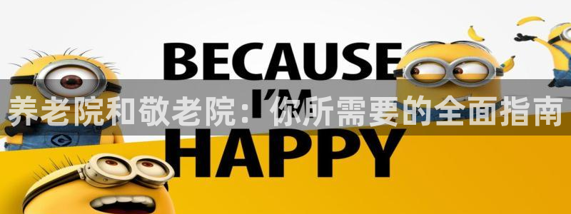 韦德游戏是什么