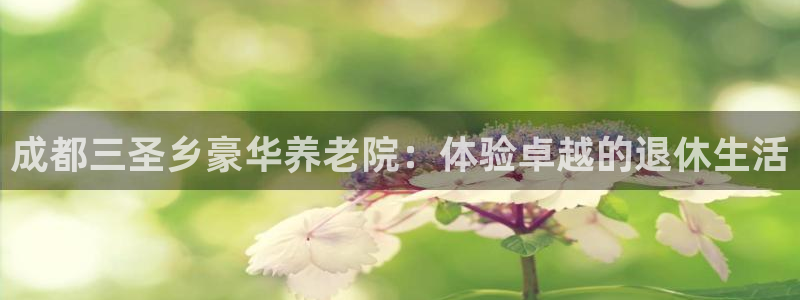 韦德官网在线