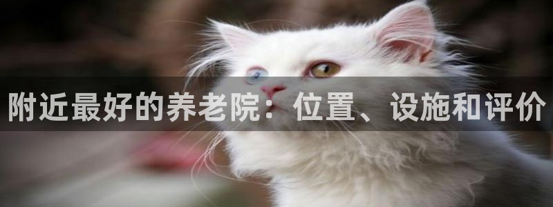 韦德betvictor