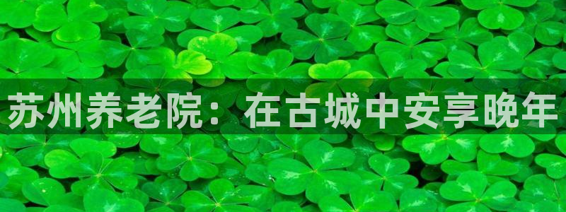 韦德1946游戏
