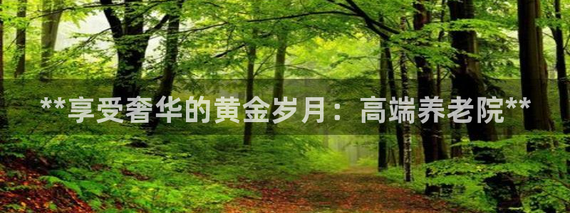 韦德网址是多少