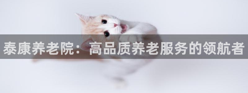 韦德新品