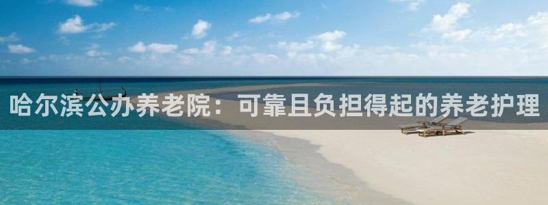 韦德游戏是什么