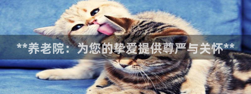 韦德1946备用网站