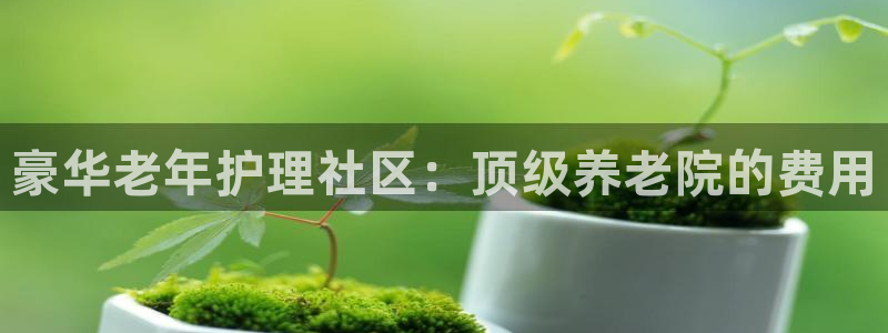 韦德1946备用网站