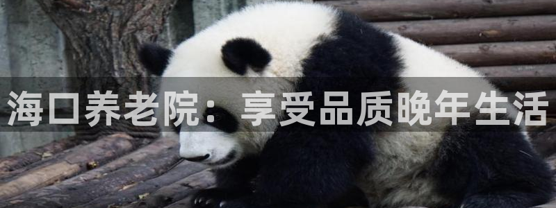 韦德1946源自英国