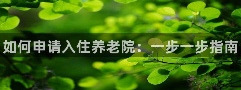 韦德1946