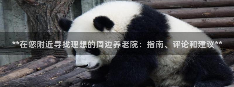 韦德新品