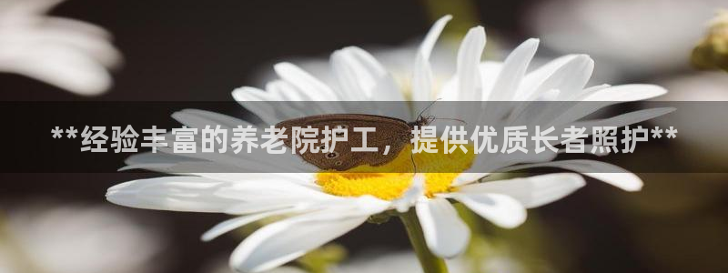 韦德1946bv1946