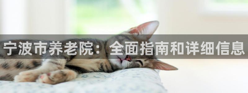 韦德1946下载