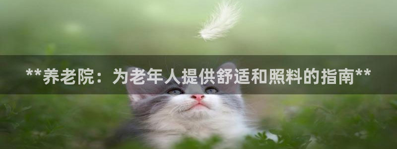 bet韦德1946