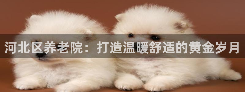韦德网址