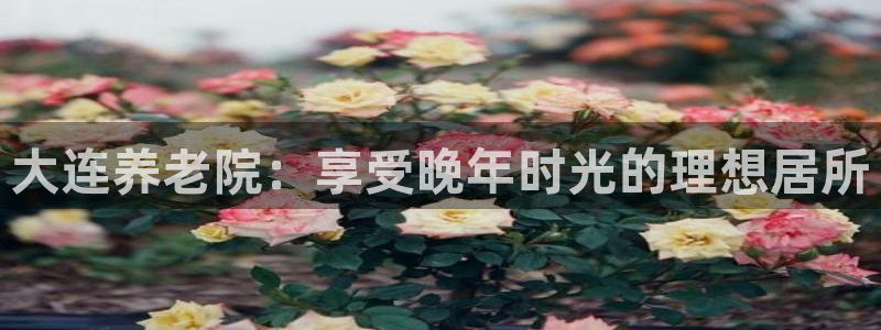 韦德网站官网