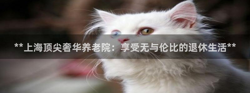 韦德1946娱乐手机版