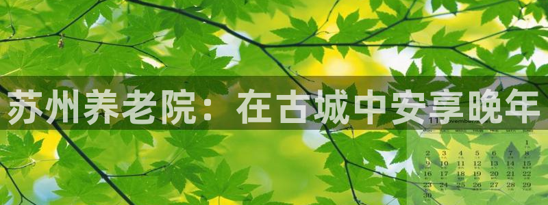 韦德1946手机