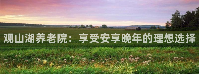 韦德1946手机网址