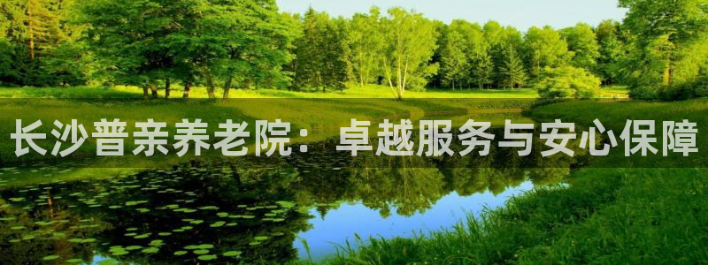 韦德1946手机