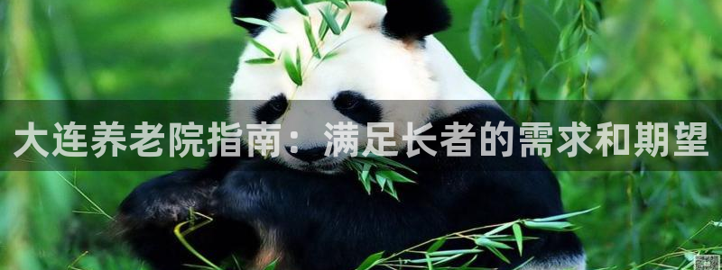 韦德网址