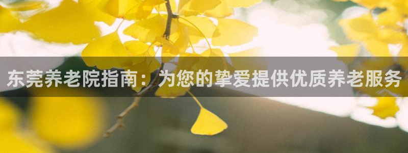 韦德网址是多少