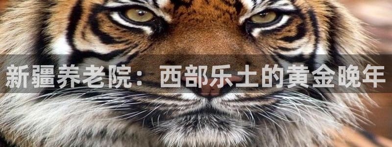 韦德app官方网站