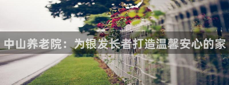 韦德的游戏