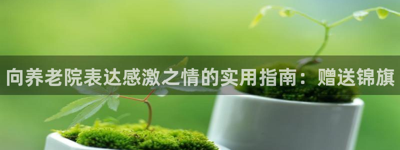 韦德 官网