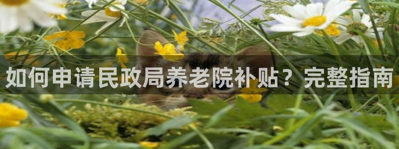 韦德 1946