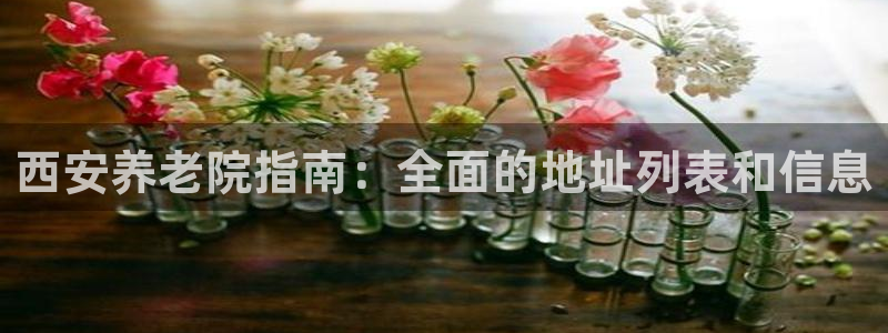 韦德 网址