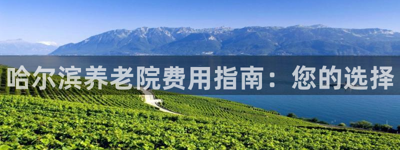 韦德官网在线