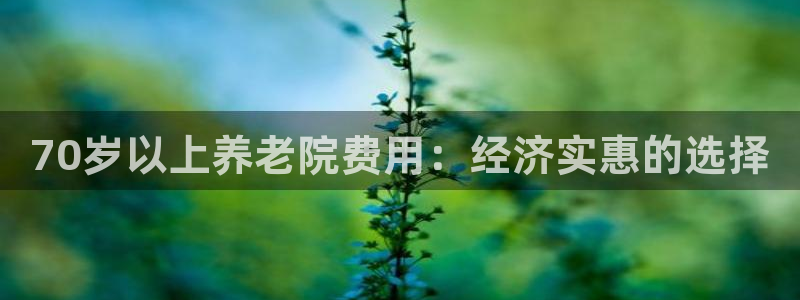 韦德bietview官网