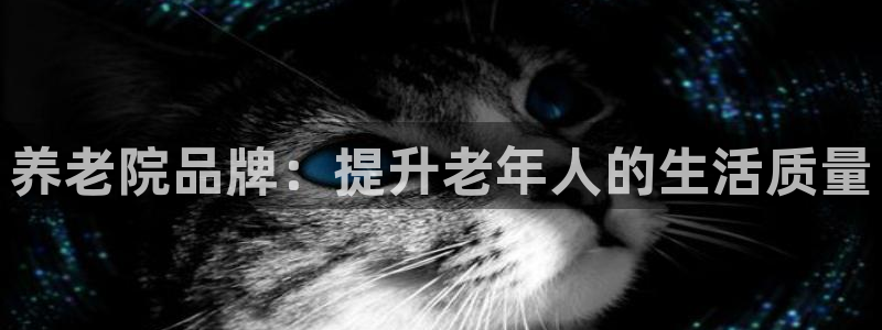 韦德新品