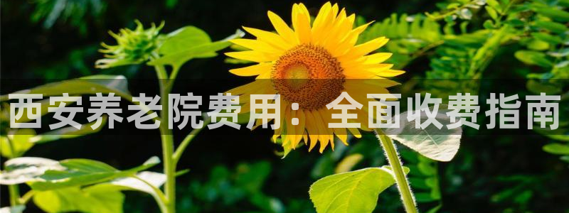 韦德1946备用网站