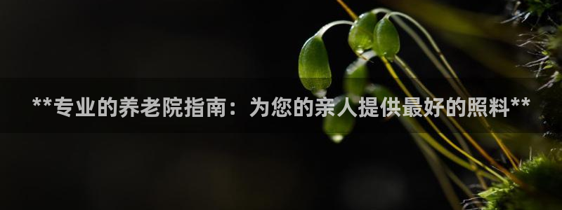 韦德1946体育官方入口