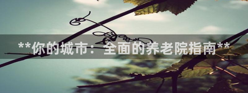 韦德1946博客