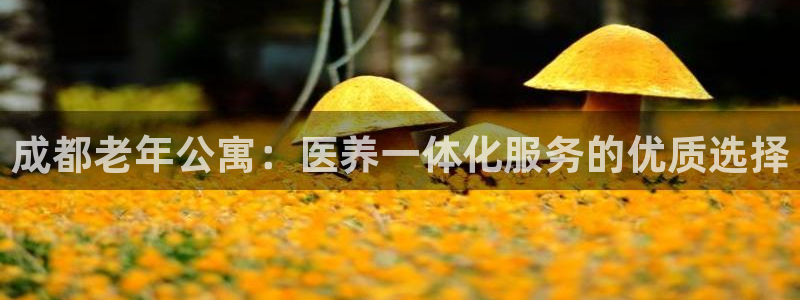 韦德全系列