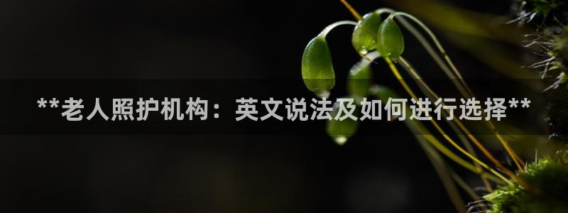 韦德1946备用网站