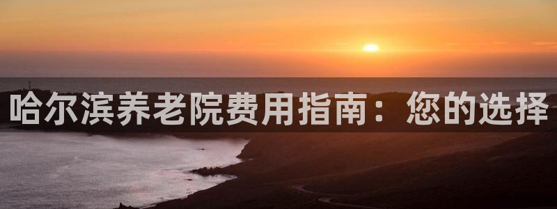 韦德新品