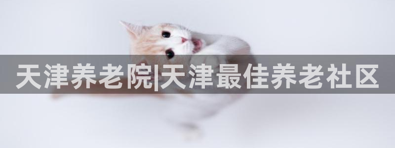1946韦德游戏