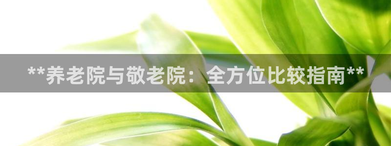 韦德是哪一届