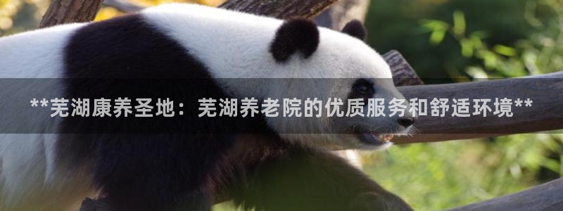 韦德8月22日开启中国行