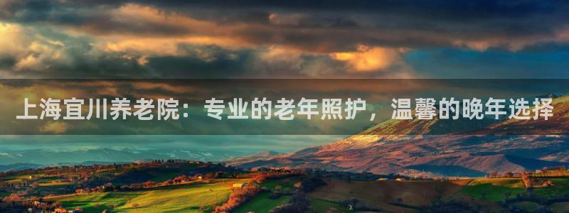 韦德 网址