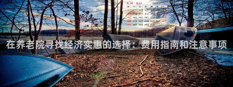 韦德1567